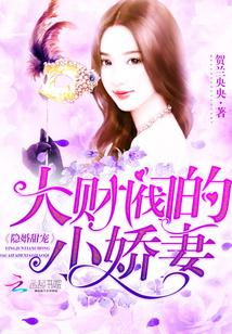 隐婚甜宠:大财阀的小娇妻