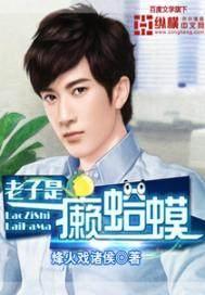 我叫赵甲第小说