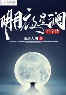 明月夜星澜