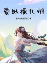 爱纵横九州