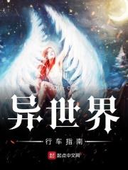 异世界行车指南