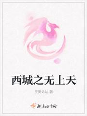 西城之无上天