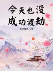 今天也没成功渡劫