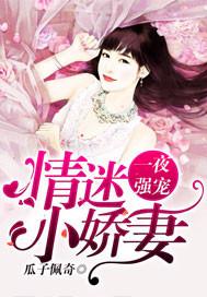 一夜强宠:情迷小娇妻